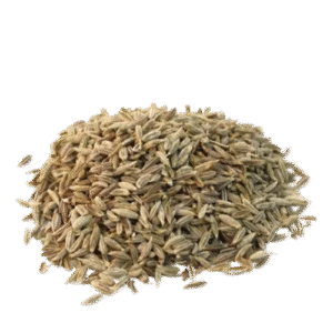 Cumin (Jira)-(জিরা)